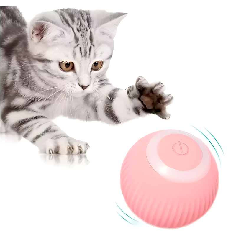 Juguete Pelota Interactiva Gatos Usb